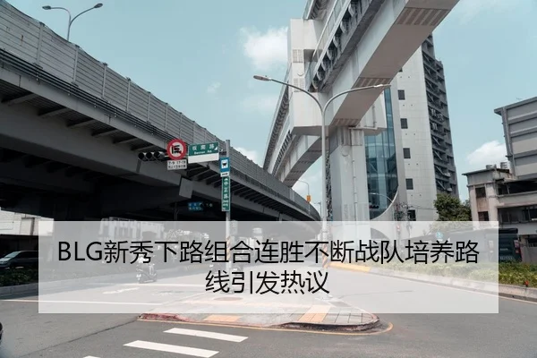 BLG新秀下路组合连胜不断战队培养路线引发热议